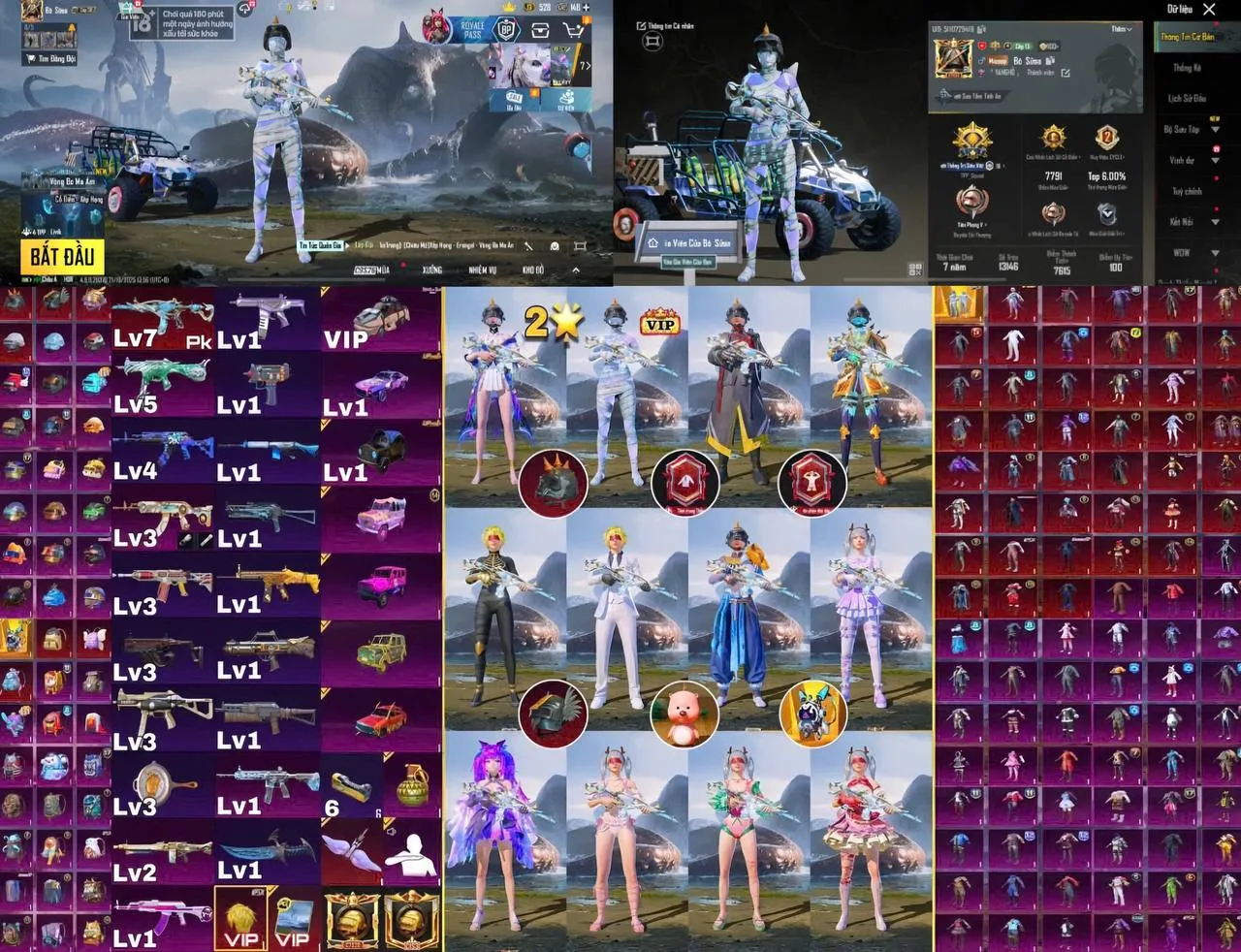 HYNWQ1V6NB