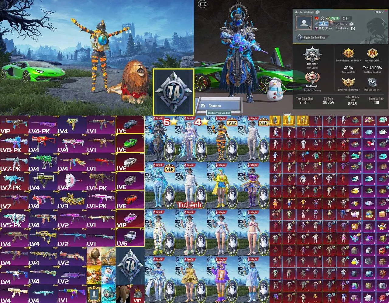 HYNYQXLZ74